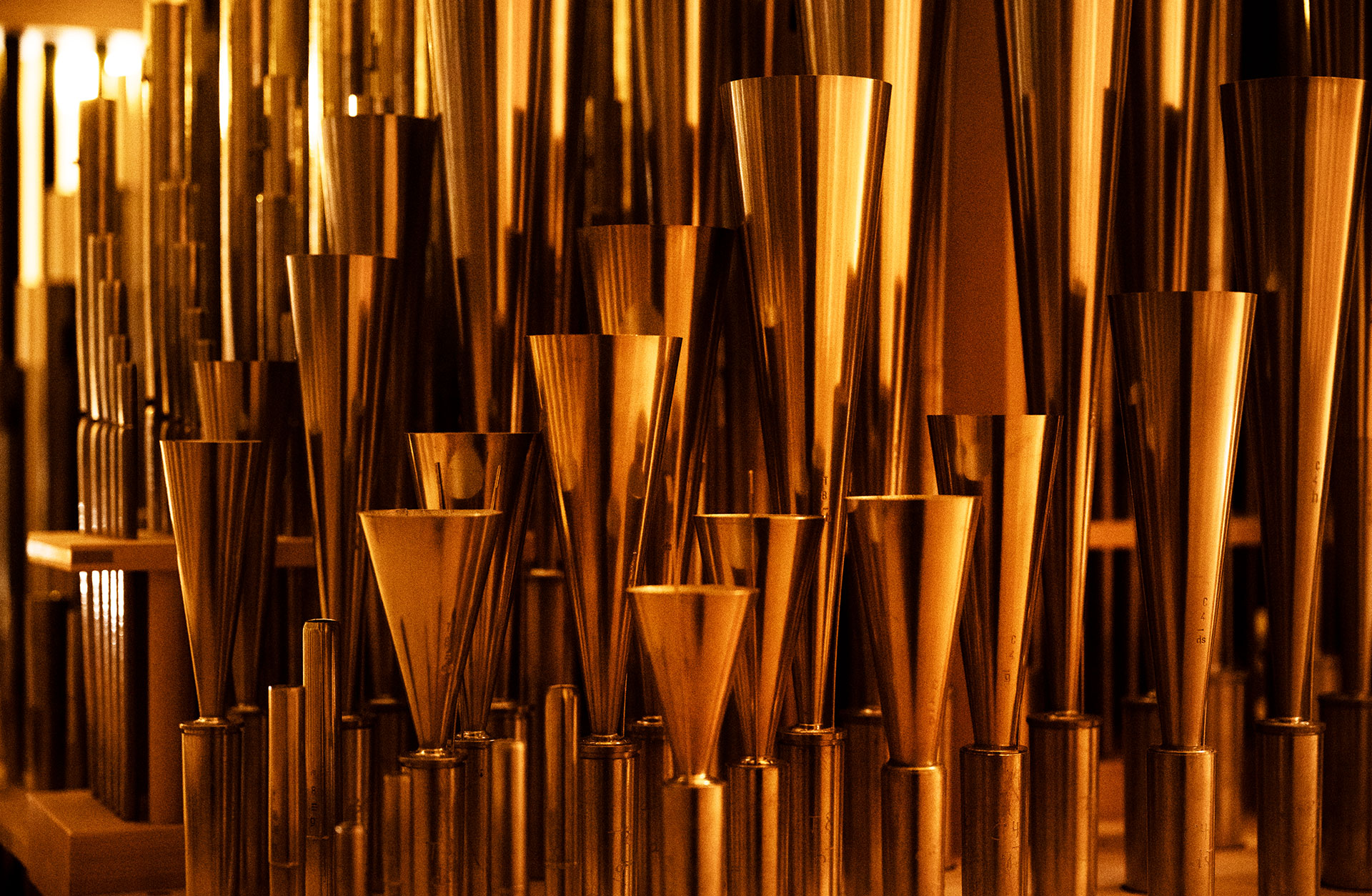 många guldfärgade orgelpipor