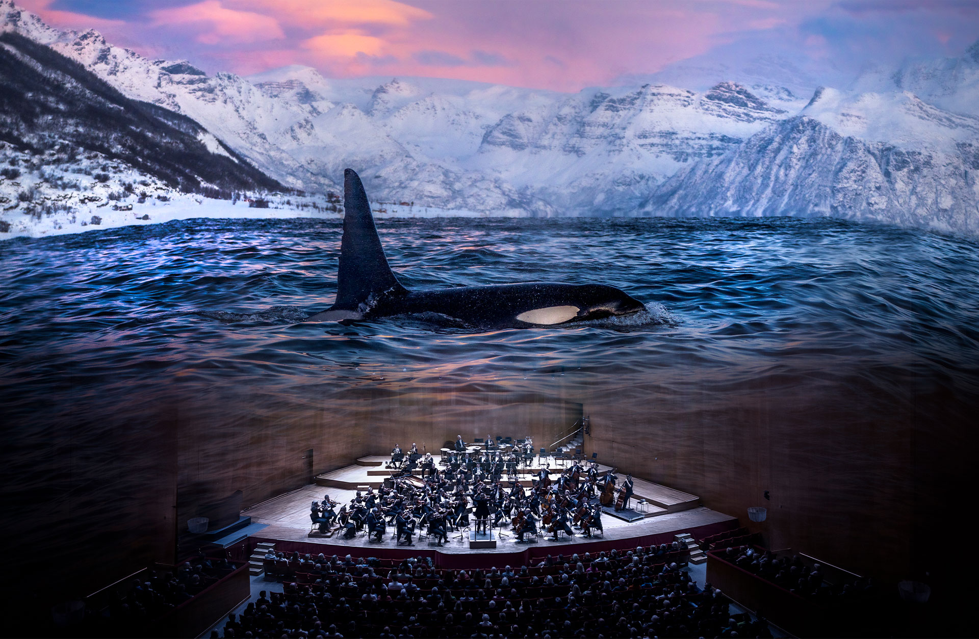 En sammanslagen bild av en fullsatt salong i Stora salen. Orkestern spelar på podiet och ovanför simmar en späckhuggare i ett hav med snöklädda berg bakom.