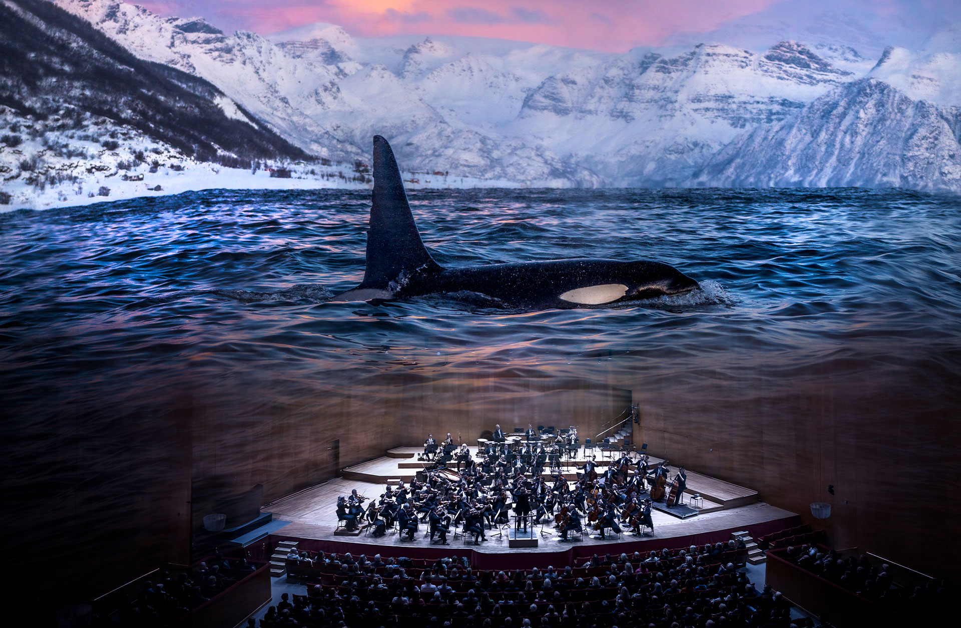 Projicering av en val vid havsytan ovanför orkester i konsertsal