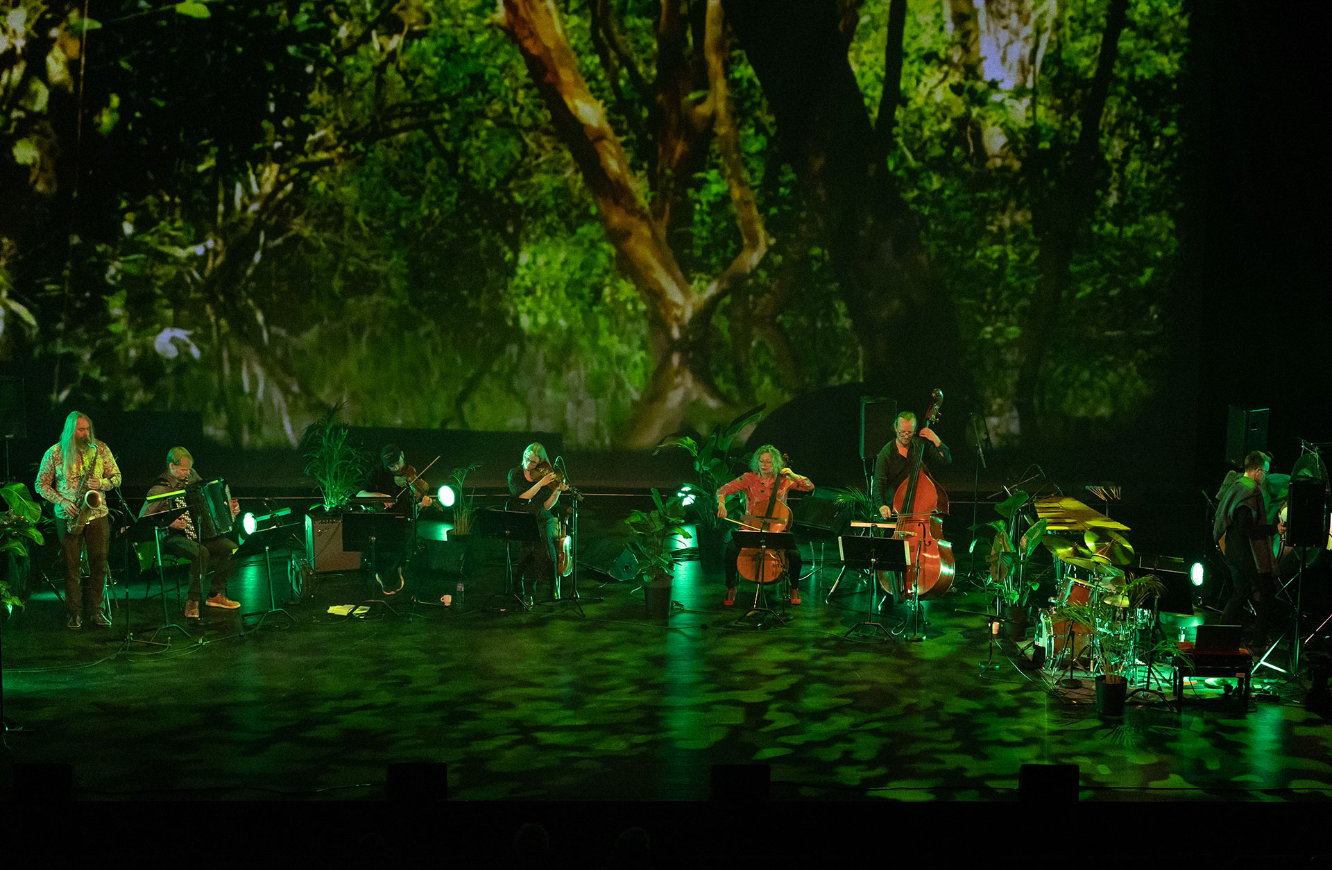 Band på scenen med grön belysning och stor bild på regnskog som fond