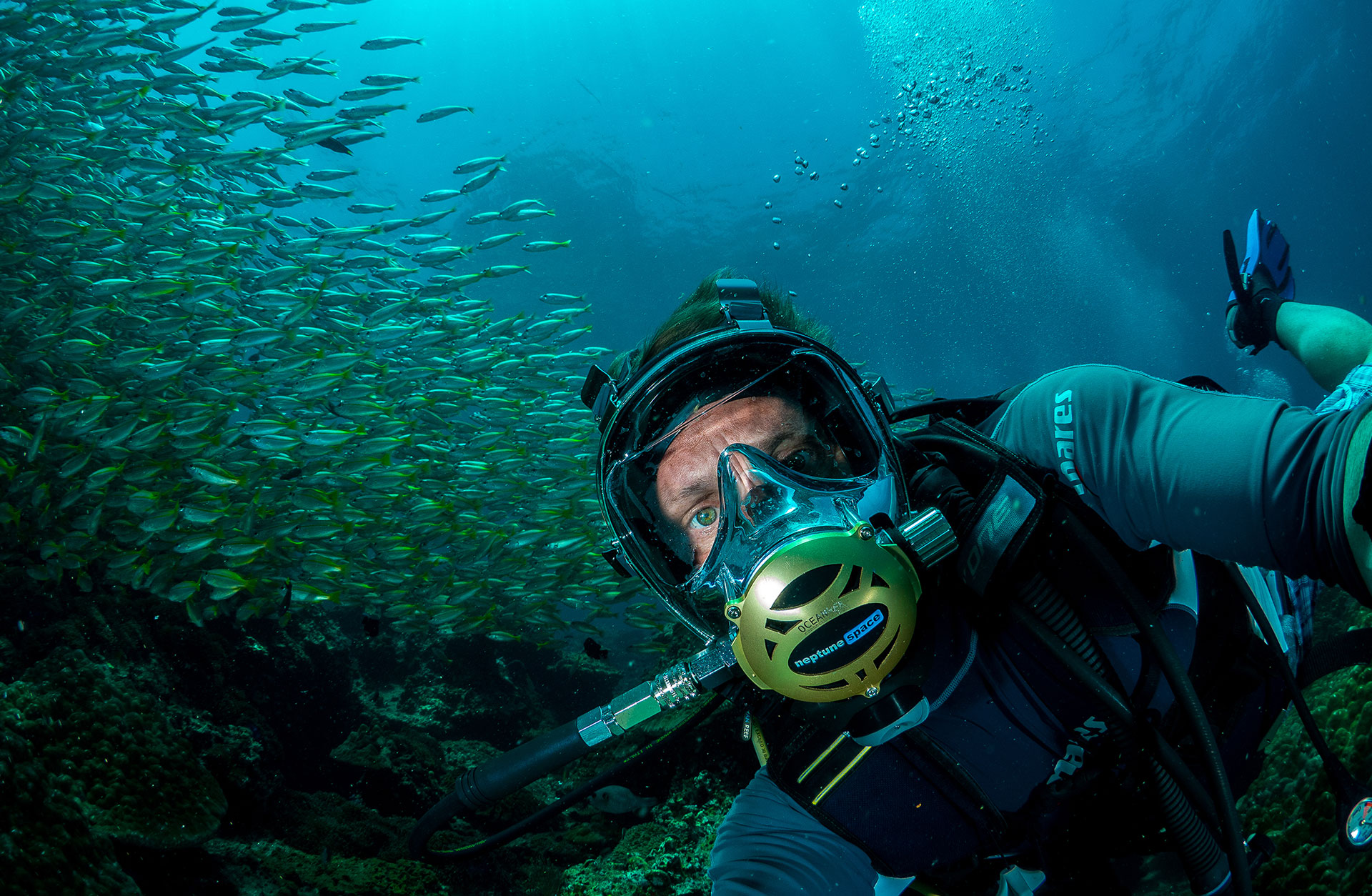 Joakim under ytan i dykardräkt med ett fiskstim i bakgrunden