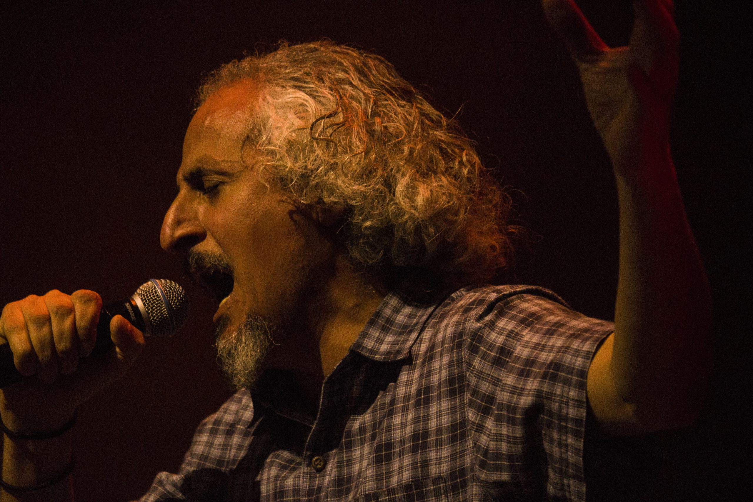 Artisten i rutig tröja sjunger i mikrofon.