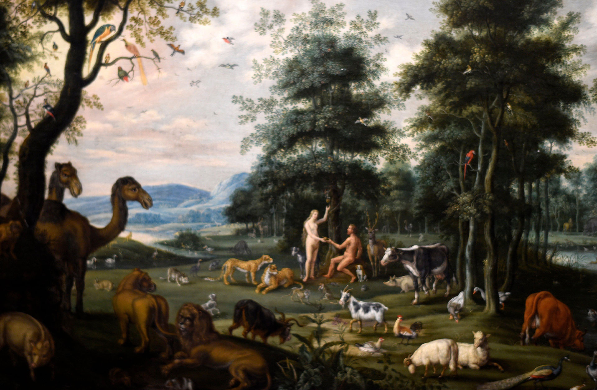 En klassisk oljemålning av skapelseberättelsen. Tavlan är fylld av olika djur: lejon, kor, får, dromedarer, hönor... som lever tillsammans med Adam och Eva i en grön och vacker värld.