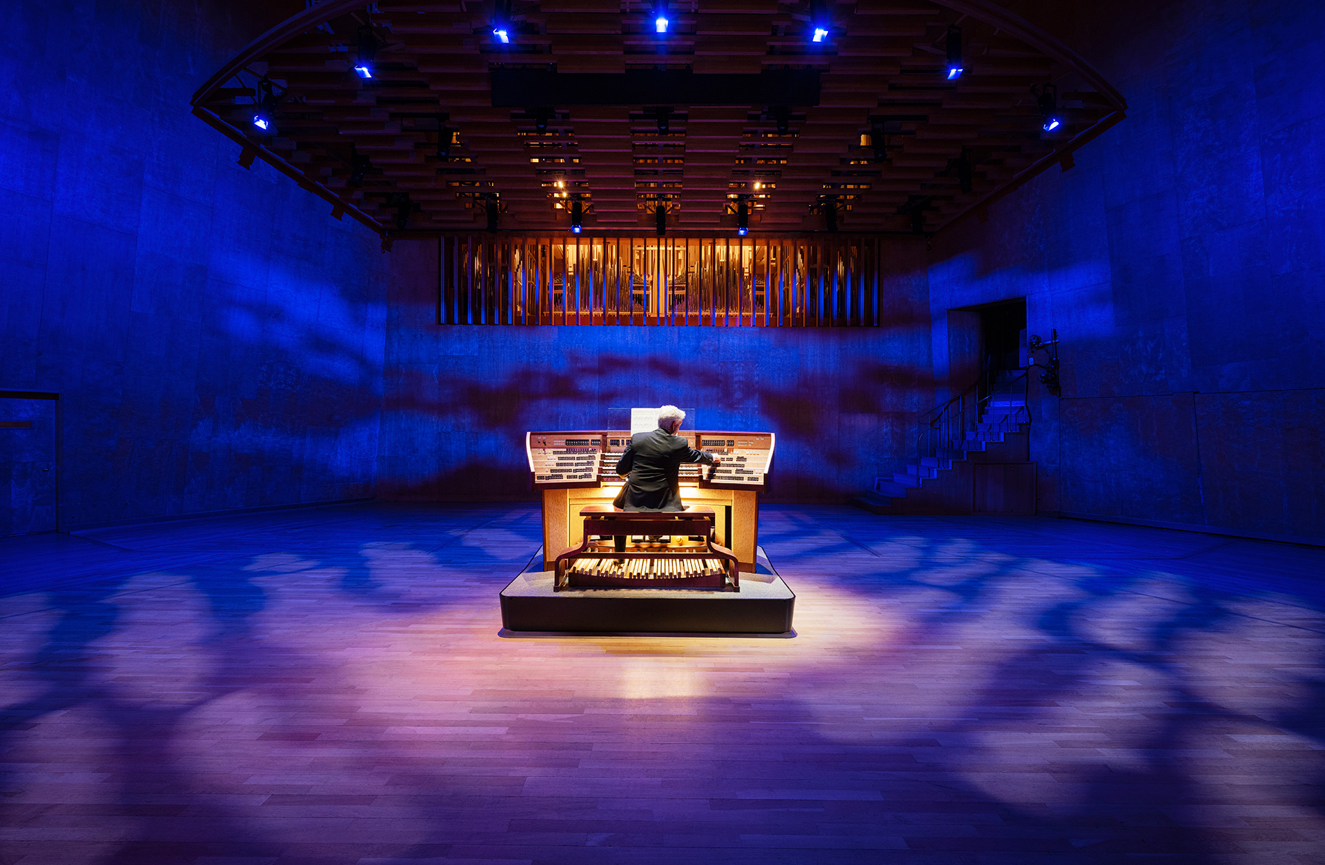 Man spelar orgel mitt på scen i lila ljussken. Man ser honom bakifrån i gult ljus.