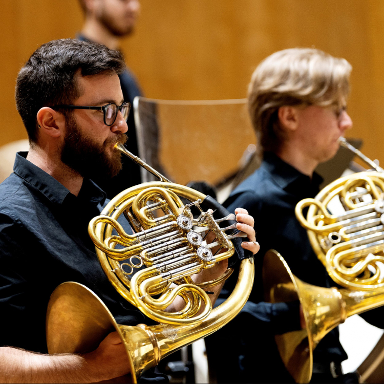 En man i svart hår och skägg spelar horn i orkestern.