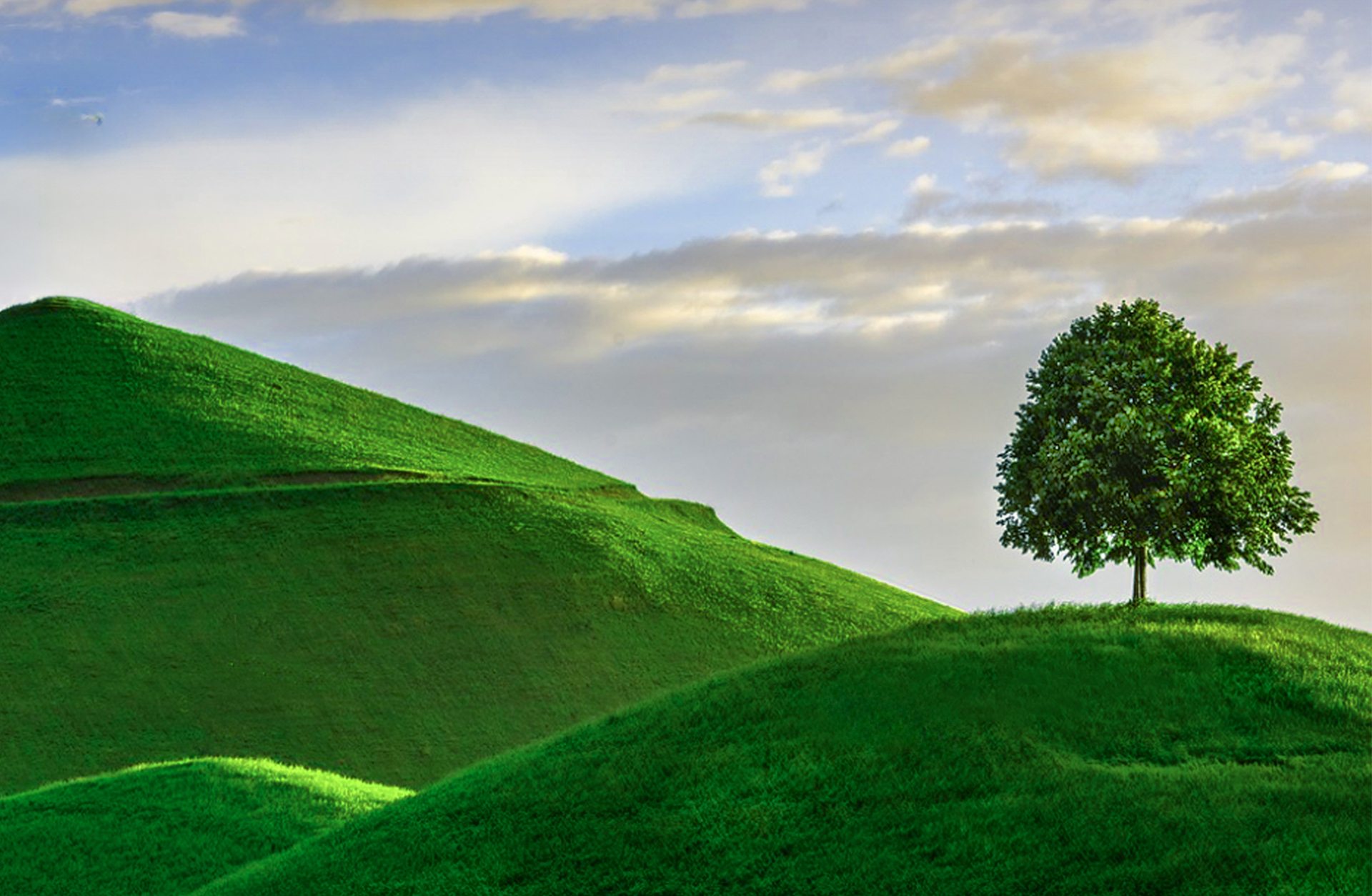 en grön landskapsbild med ett träd