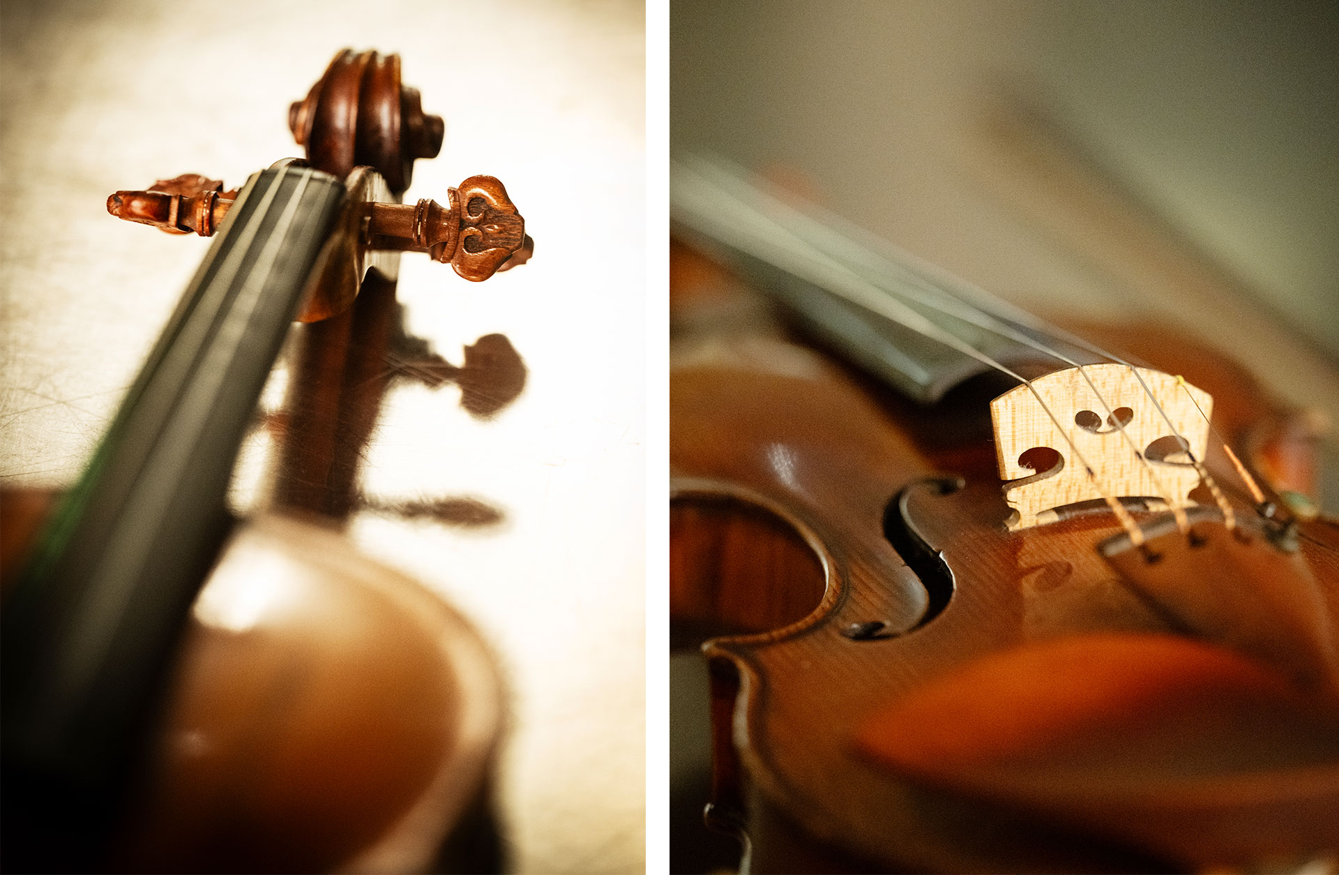 Detaljbilder på Clara Gardes fiol.