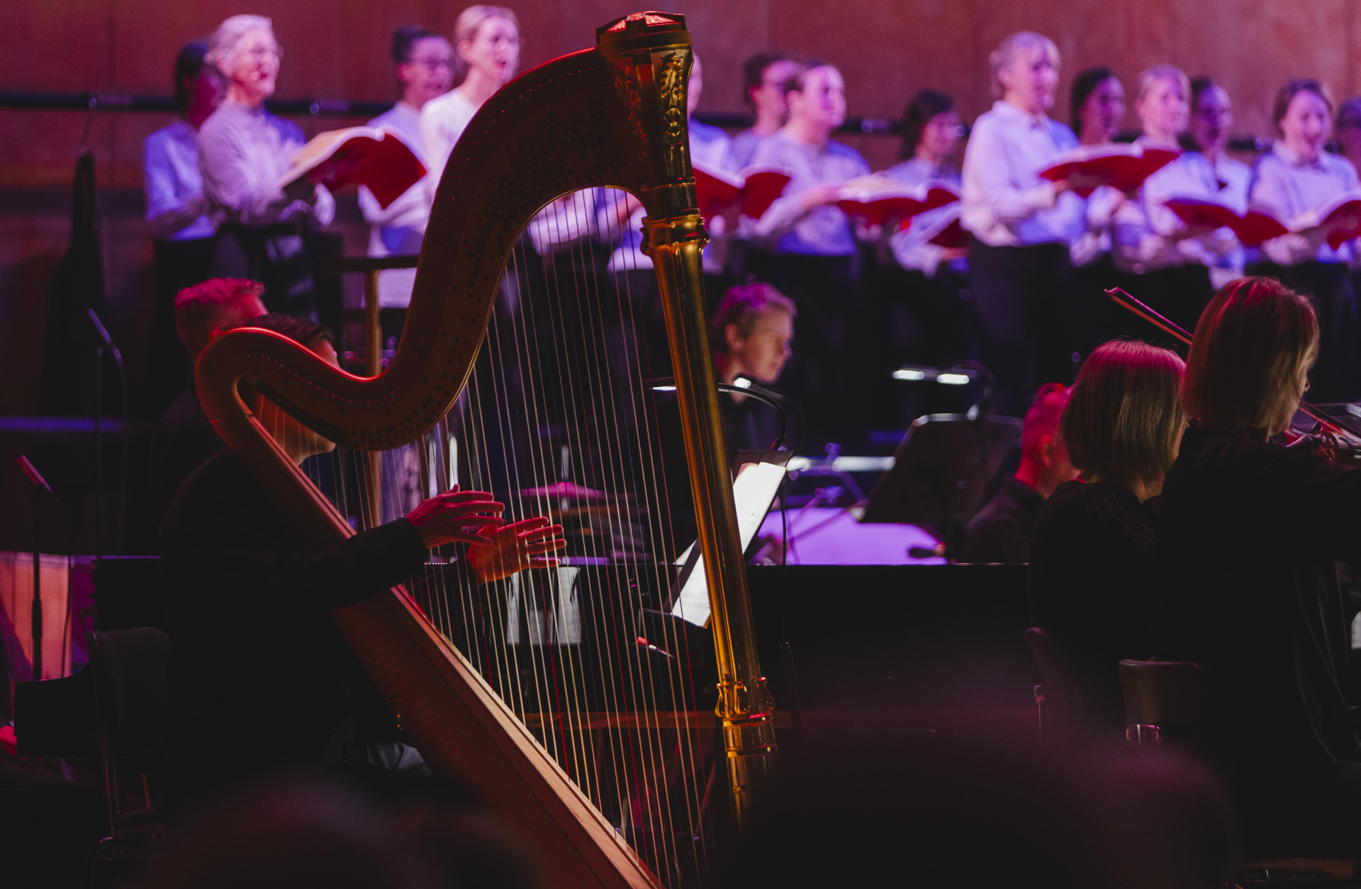 En man spelar harpa framför en orkester och kör