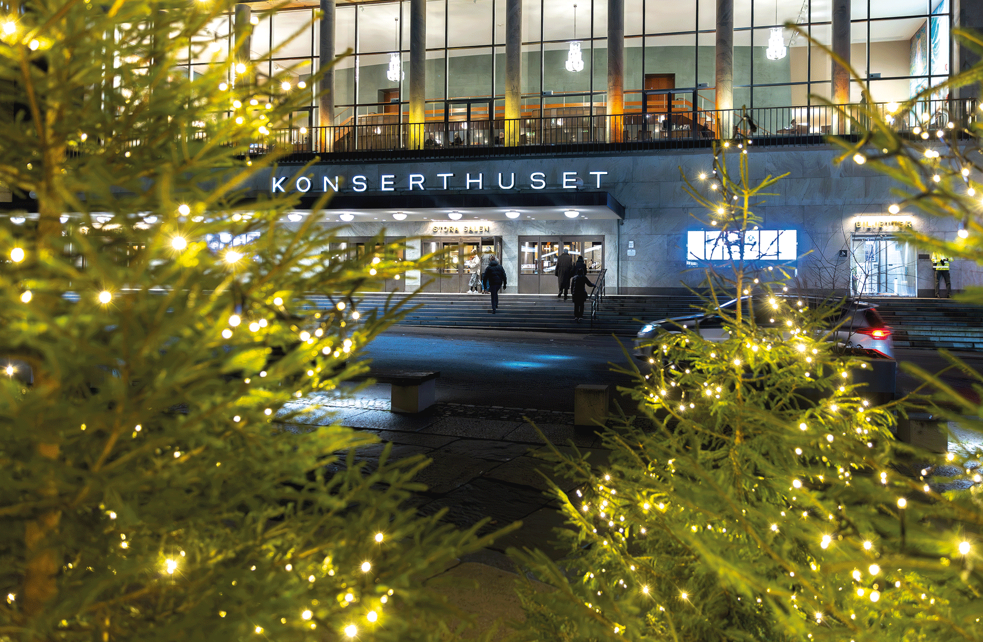 Glittrande julgranar i förgrunden med Konserthusets fasad i bakgrunden.