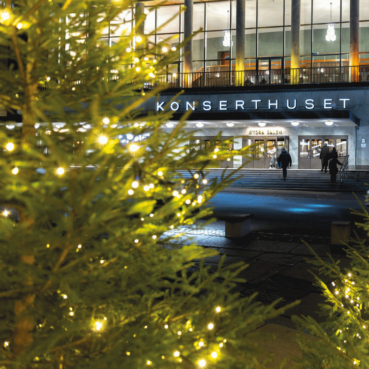 Glittrande julgranar i förgrunden med Konserthusets fasad i bakgrunden.