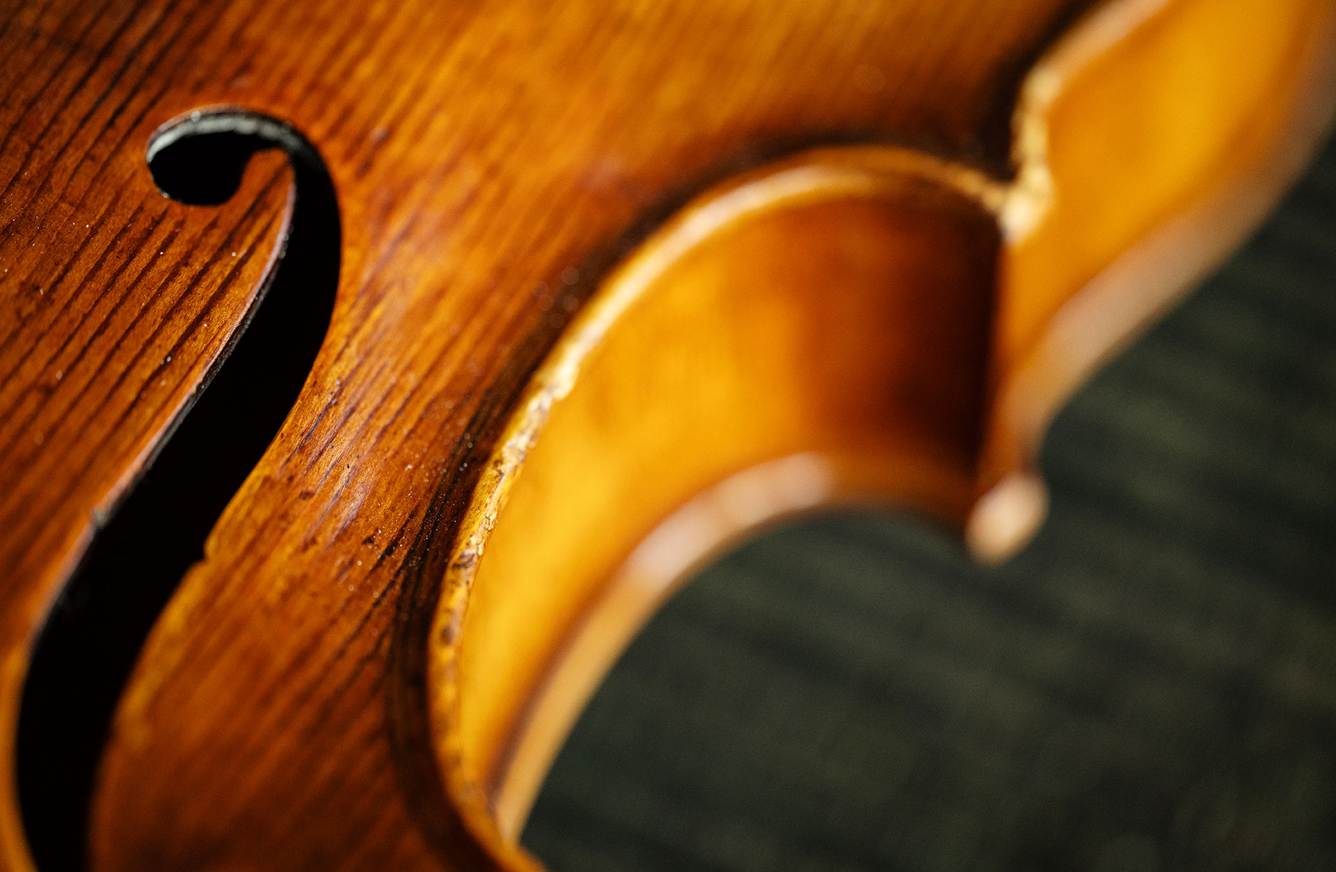 Detaljbild av en fiol.