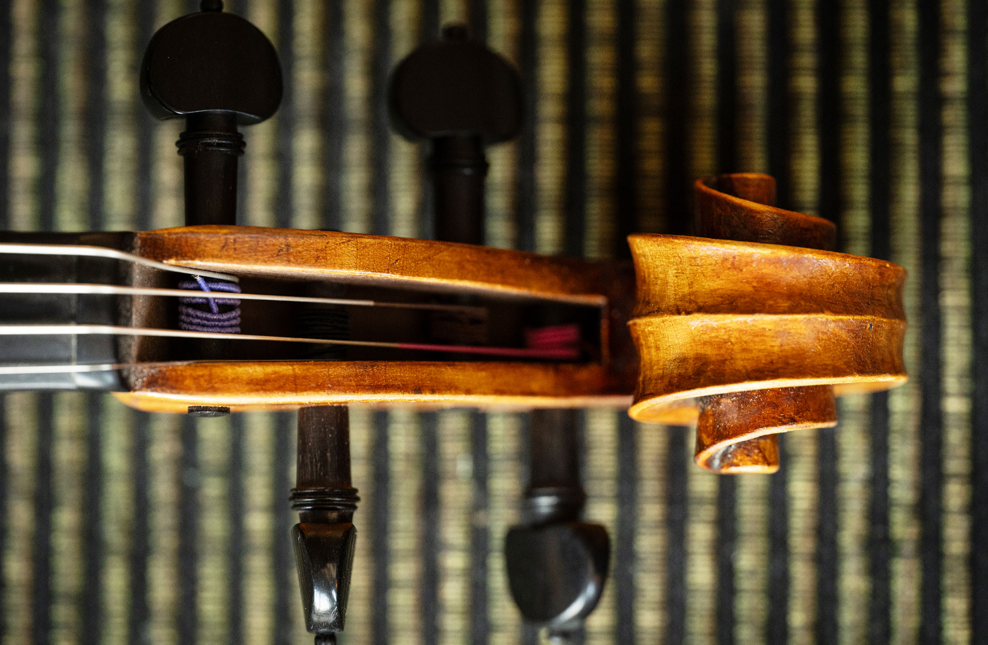 Detaljbild av en fiol.