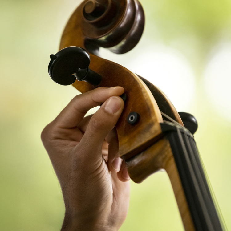 En hand stämmer en cello, närbild på fingrarna på stämskruven.