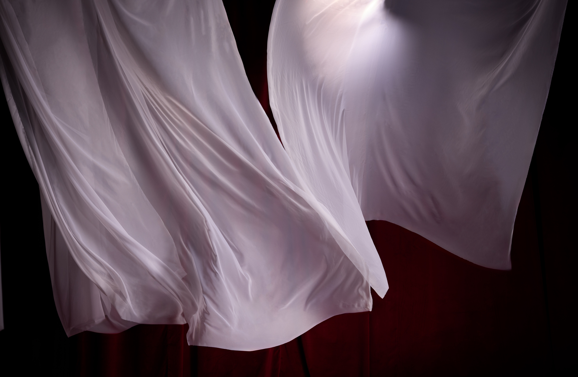 Via skira tyger som fladdrar mot en röd fond