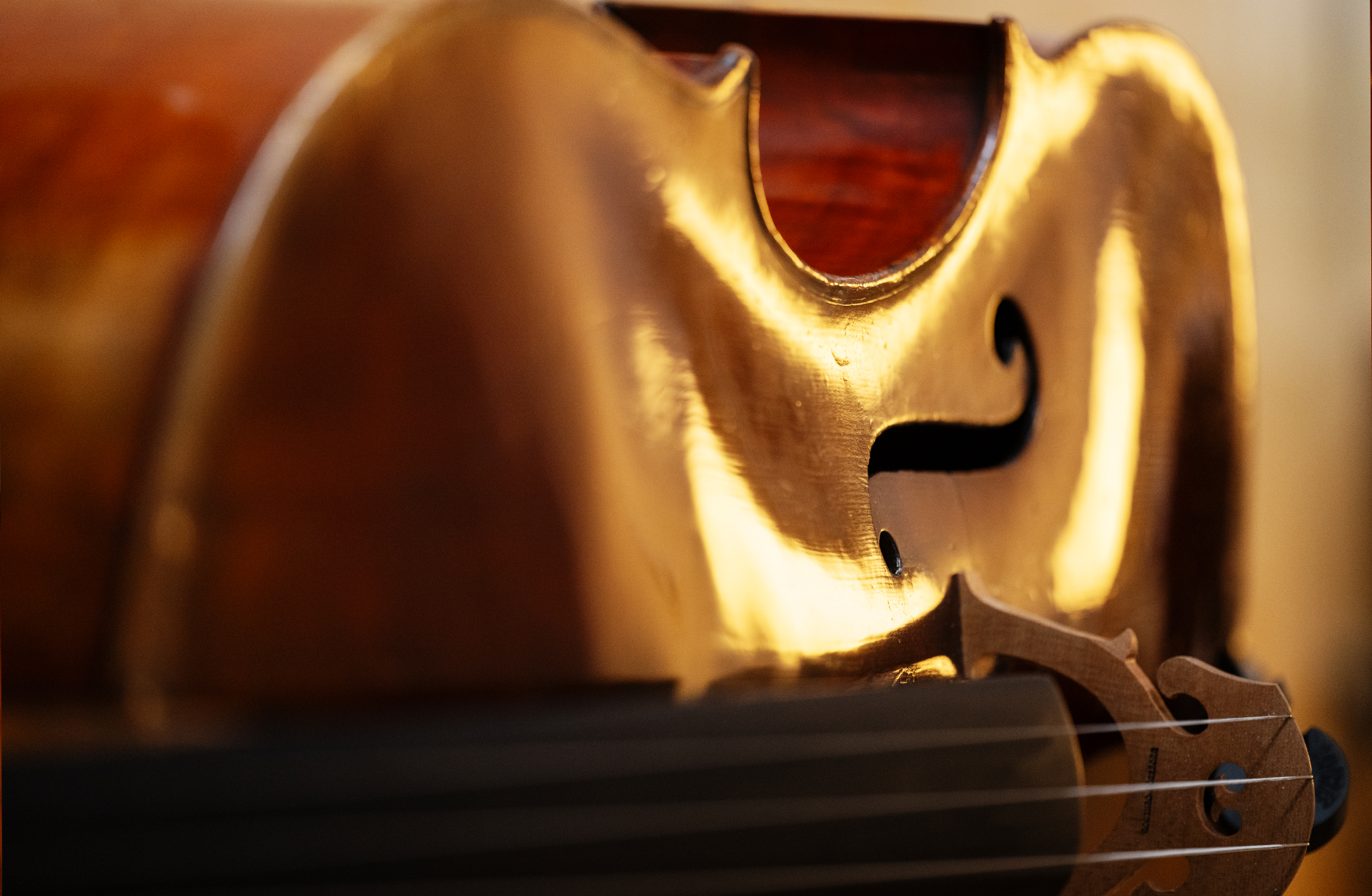 Närbild av en celloframsida. Solen speglar sig i träet.