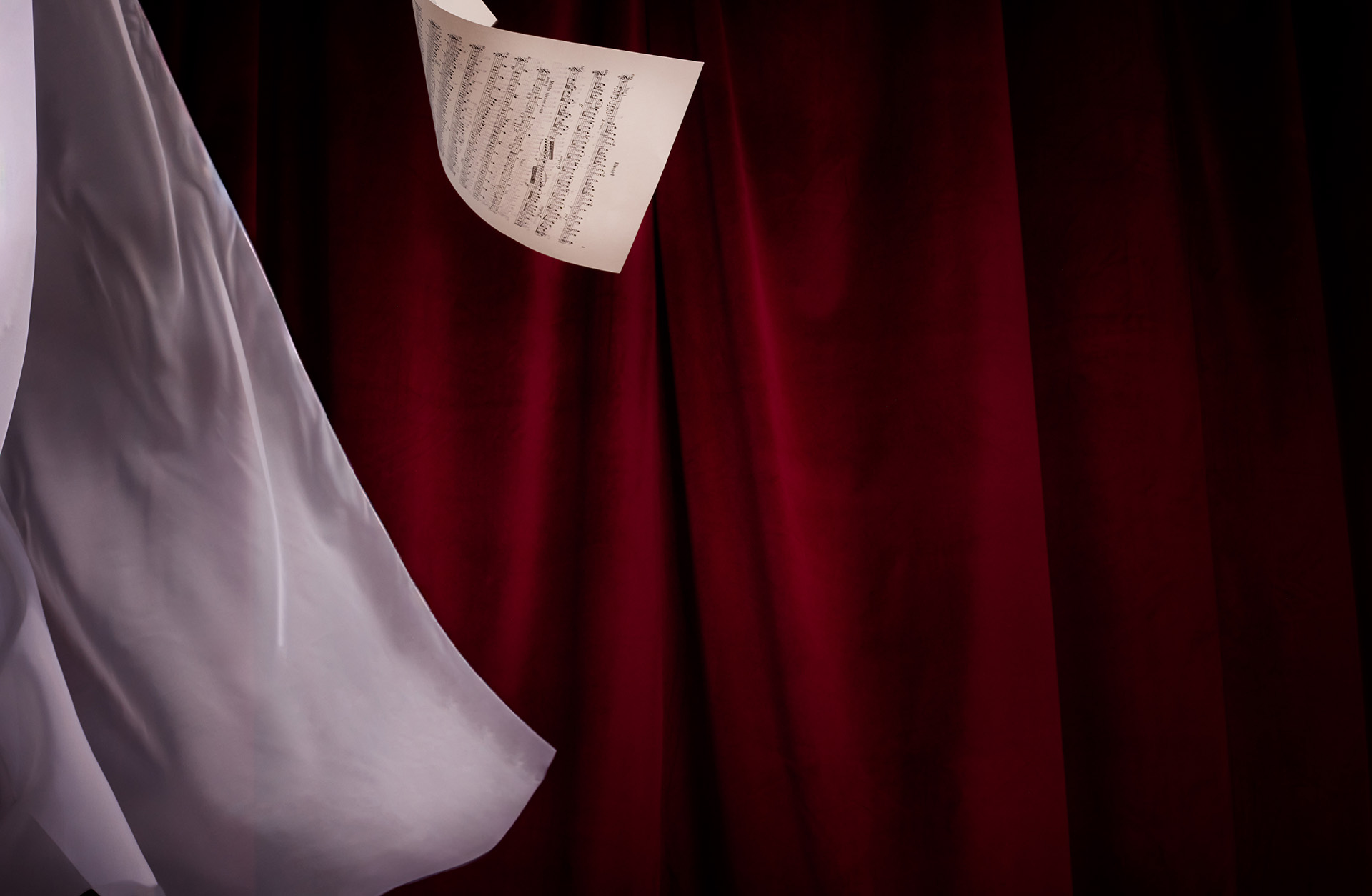 Ett notblad svävar mot röd bakgrund.